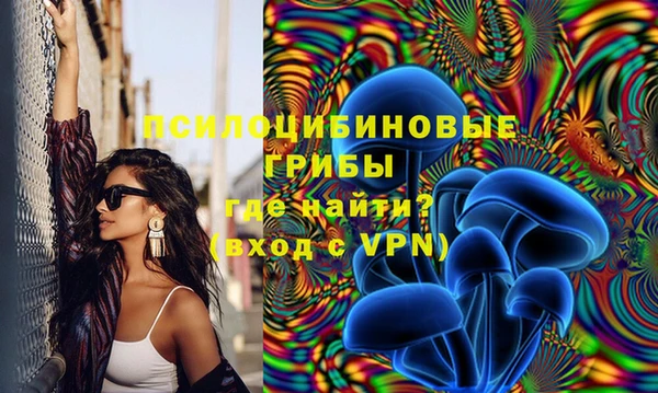 спайс Аркадак
