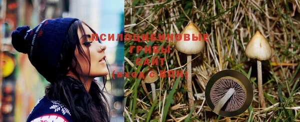марихуана Арсеньев