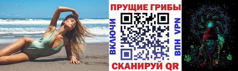 Купить  Раменское  Псилоцибиновые грибы Psilocybe 
